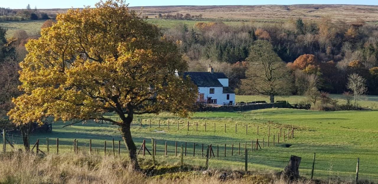 Lower Turnerford Farmhouse Newby  Экстерьер фото